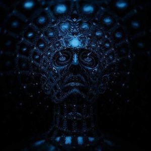 Meet your Posher, Troy